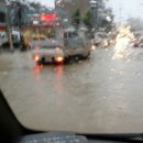 안고농장 이미지