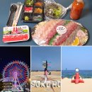 한스키친 | 속초 중앙시장 회포장 맛집 추천 한스키친 가성비 최고