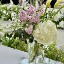 리움 | 야탑 웨딩홀 더 바실리움 견적 공유 후기