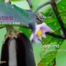 송정농기계 이미지