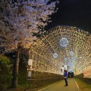 양재천 수변무대5 이미지