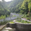 별똥오락실 이미지