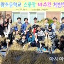 빛가람초등학교 이미지