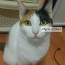 봄커뮤니케이션 이미지