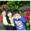 개금3동 주민센터 이미지