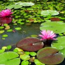 등대회관 이미지