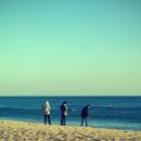 해운대해수욕장 이미지