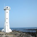 제주도 푸른밤 이미지