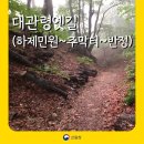 천년 역사 속 옛길 | [명품숲길 50선] 대관령옛길 완전 정복! 천년 고갯길에서 만나는 강릉의 숲과 바람