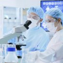 크라운 행정사 이미지