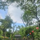 ⛩️포항 보경사 방문 후기 보경사 맛집 삼보가든 손칼국 산채비빔밥+⛱️월포해수욕장 산책까지