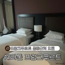 에어포트호텔 | 결혼#21 신혼여행, 경유지 독일 1박/쉐라톤 프랑크푸르트 에어포트 호텔 후기
