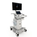 양양동물병원 이미지