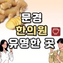봉생한의원 | 문경 한의원 추천 TOP5 양심 한의원 유명한 곳