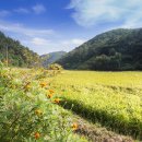 무수리마을회관 이미지