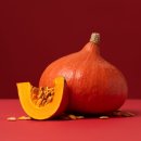 늙은 개 | 늙은 호박차효능 물대신 마셔도 붓기에 문제 없을까?