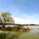 우포늪 자전거 대여소 이미지