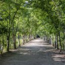 선덕여왕릉 화장실 | 경북천년숲정원 | 경주 가볼만한곳 무료입장 힐링명소 메타세쿼이아 숲길 포토존 추천🔺