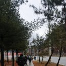 함백초등학교 | 운탄고도 1330, 3길 4길, 3-2코스 트레킹 다녀온 후기