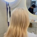 둔산서로 이미지