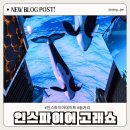 글로발 아쿠아리움 오아시스 | 인스파이어 놀 거리, 고래쇼 후기, 위치