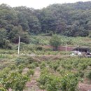 가는골농장 이미지