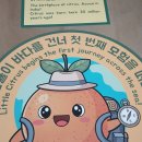 감귤박물관 위 | 🍊 제주감귤박물관 다녀온 후기 + 개관 20주년 특별 스페셜