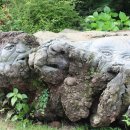 돌뿐이공원 이미지