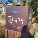 필우재카페&갤러리 | 여주 애견동반 카페_이포보 근처 고즈넉한 분위기의 강아지와 갈 수 있는 갤러리카페 '필우재'