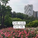 장미원내부 이미지