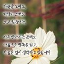 동성길 이미지