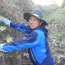 무선중학교 이미지