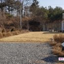 양평한강공인중개사사무소 이미지