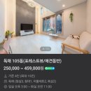 밸리247 | [가평 밸리247] 애견 동반 독채 펜션 내돈내산 후기