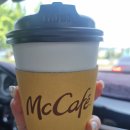 들물횟집 | (통영) 한마음식당 들물횟집 멍게비빔밥 카페 바이사이드미 '2024.06.01~02 통영여행'