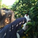 삼달리-11 이미지