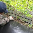 새순농장 이미지