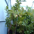 기현2농장 이미지