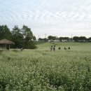 풍천농장 이미지