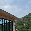 카페353 | 경주 안강 한옥카페 느린353｜옥산서원 애견동반 가능한 숲뷰 힐링카페 후기