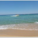 청춘바다 이미지