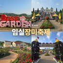 임실치즈테마파크3 | 임실치즈테마파크 장미축제 치즈마을 전북 임실 가볼만한곳