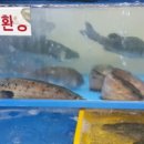 잠뱅이수산 이미지