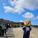 팔도강산 이미지