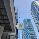 든담농가맛집 | 부산 서면 분위기좋은 도심 속 일본식 카페 도시농가코페도코