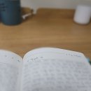 해뜬농장 | (1/2~1/4) 새해에도 바쁘다바빠 영화 미술관 병원 기타