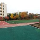 꿈이있는사과나무어린이집 이미지