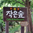 작은숲 Daum카페