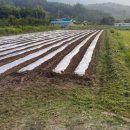 내고2농로 이미지