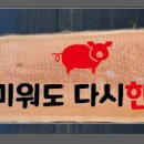 미워도다시한돈